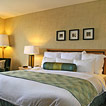Occidental Grand Punta Cana