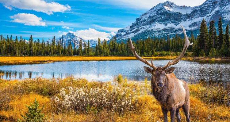 Insta-worthy places in canada