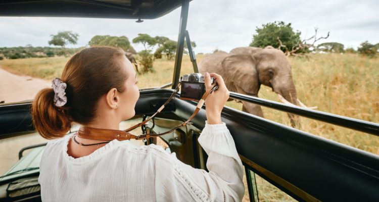 safari with elephants