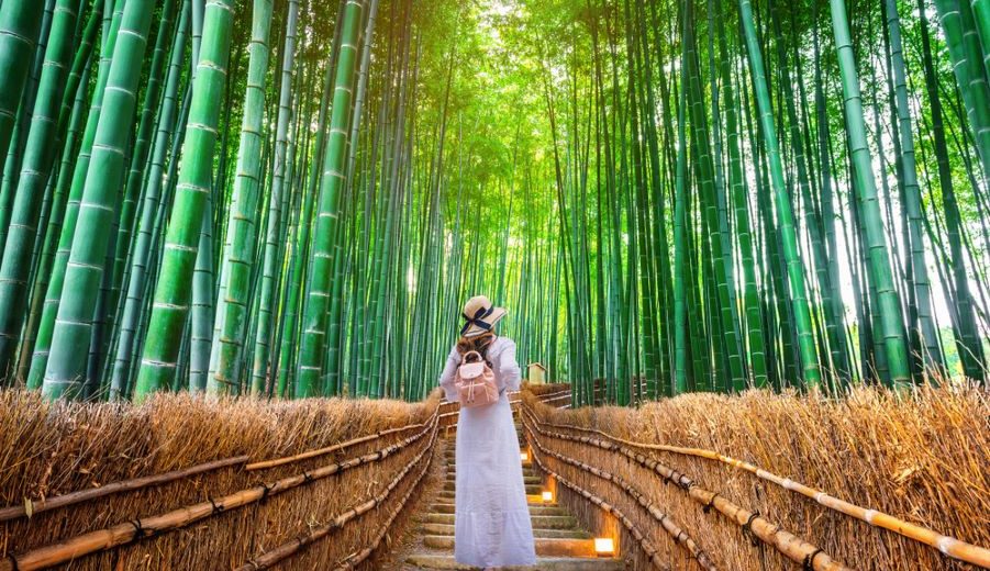 Offbeat Travel; Sagano Bamboo Forest in Kyoto - Getting There