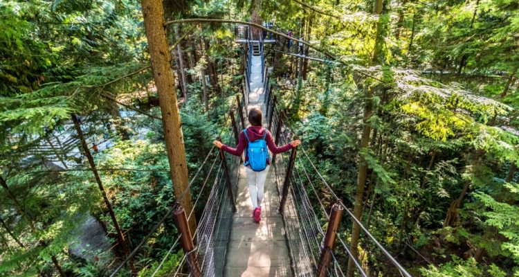 Woman hiking in Canadian forest
